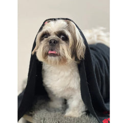 Pawgypets Pet Towel for Dogs and Cats (Black)