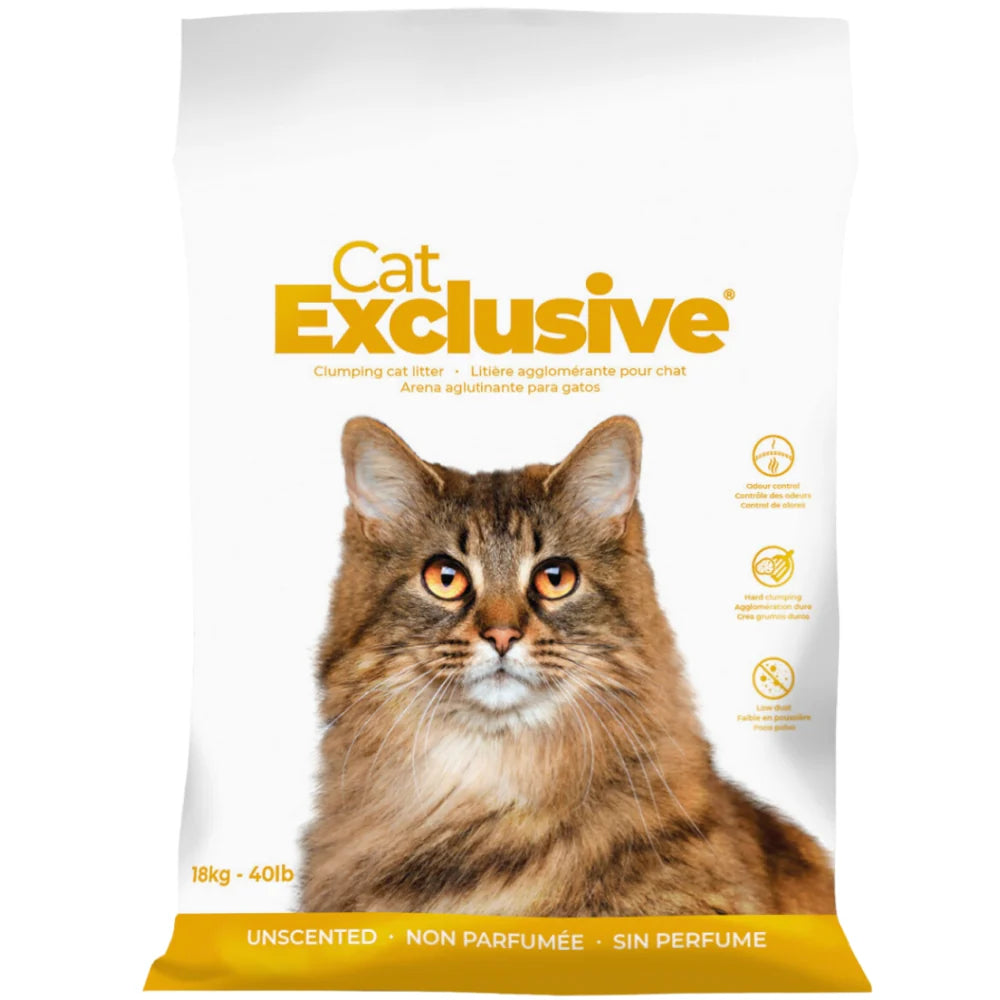 Intersand Cat's Exclusive Sodium Bentonite Clumping Unscented Cat Litter