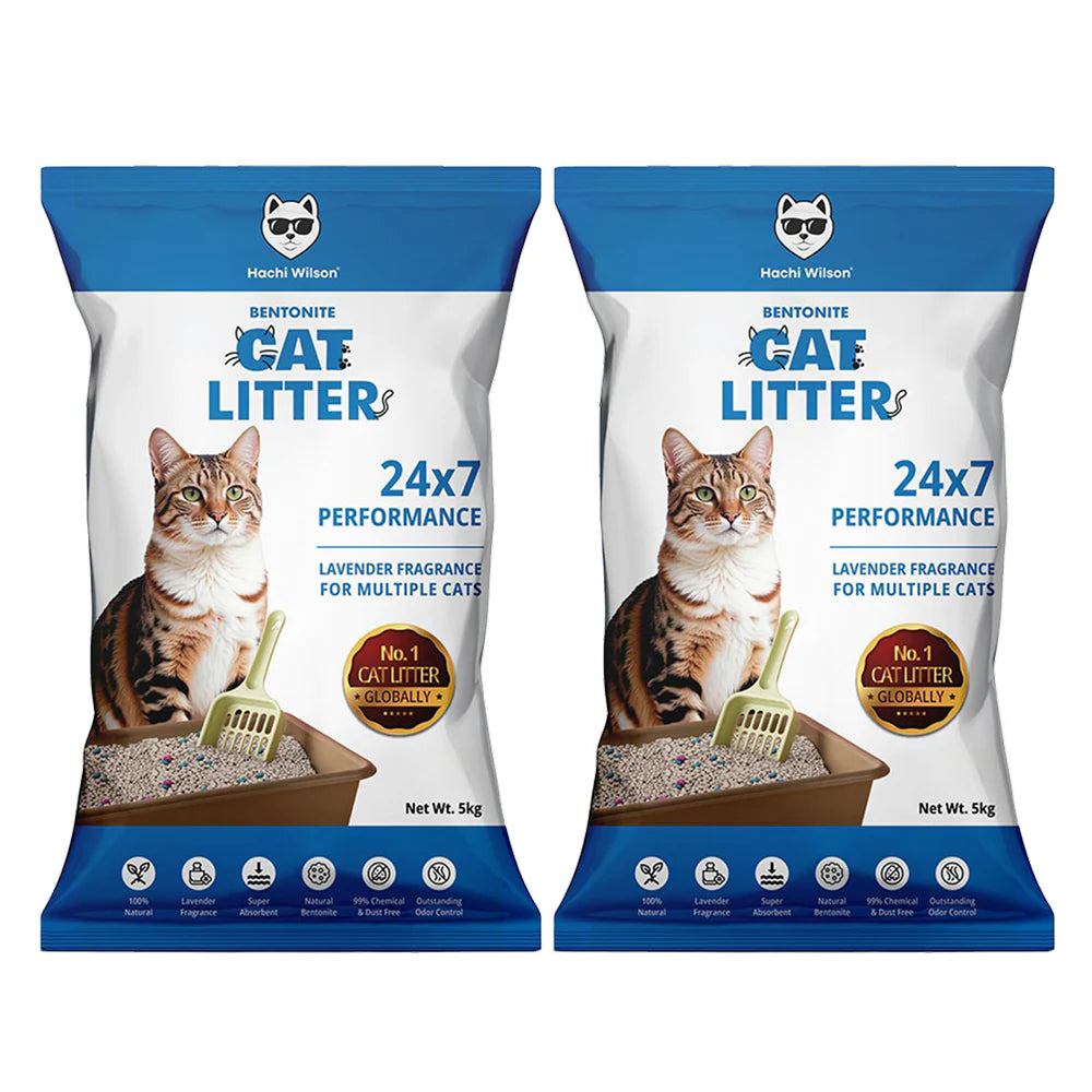Hachi Wilson Scented Natural Bentonite White Sand Cat Litter