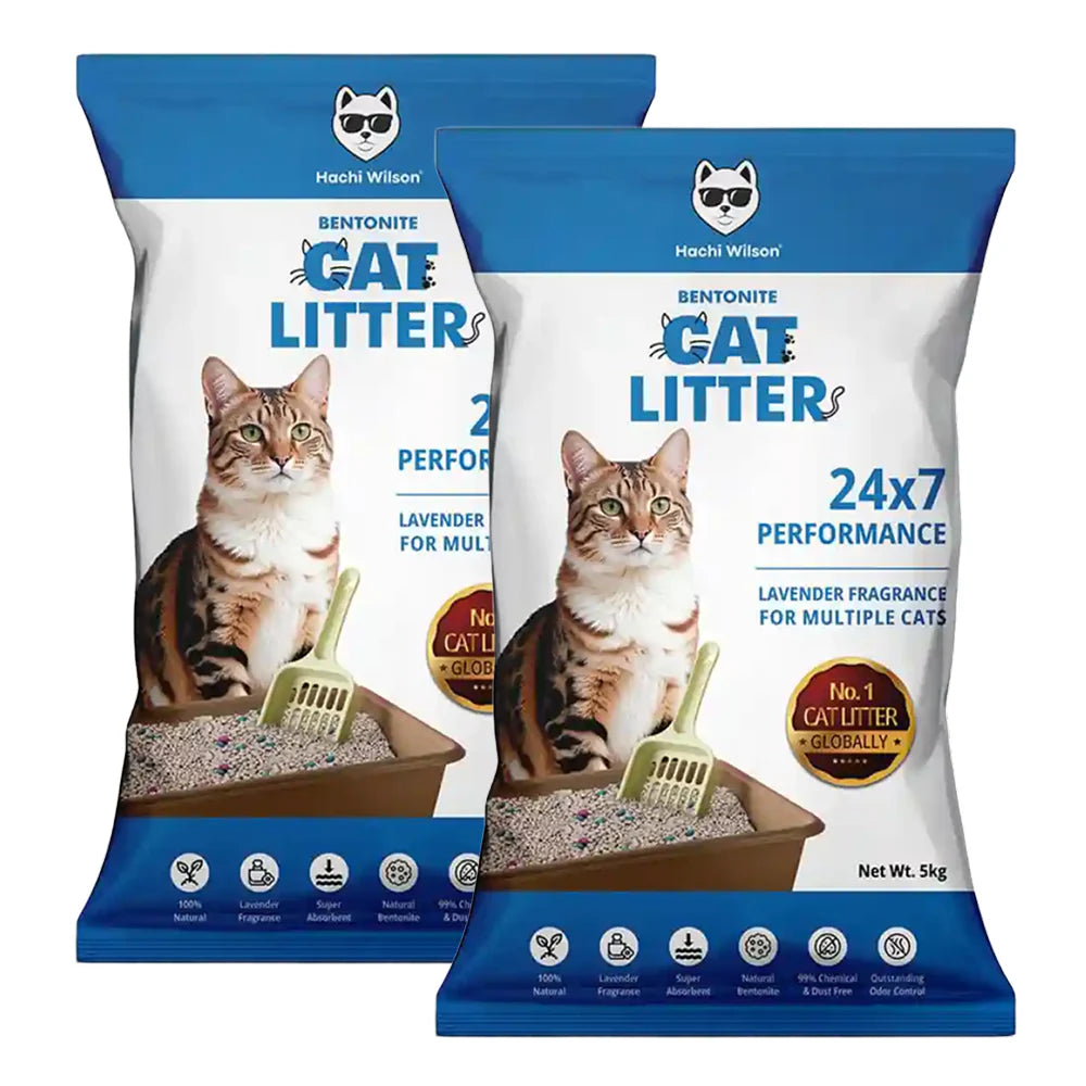 Hachi Wilson Scented Natural Bentonite White Sand Cat Litter