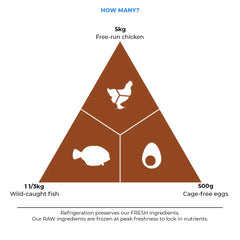 Acana Adult Large Breed Dog Dry Food