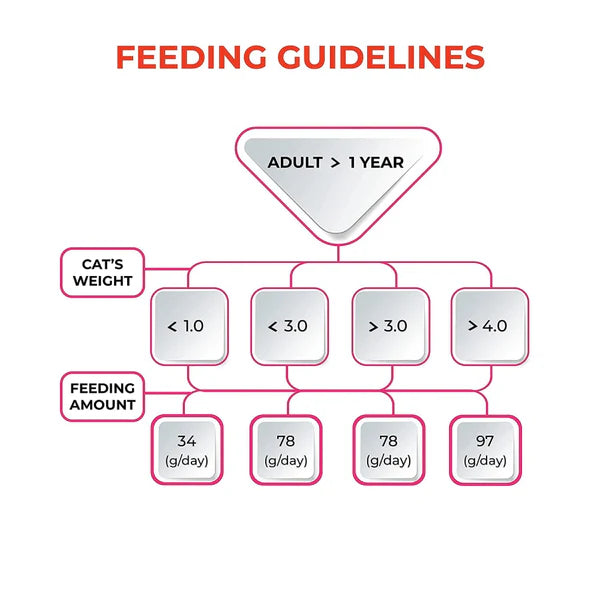 Me O Delite Tuna with Bonito in Jelly and Purina Felix Sardine with Jelly Adult Cat Wet Food Combo (12+12)
