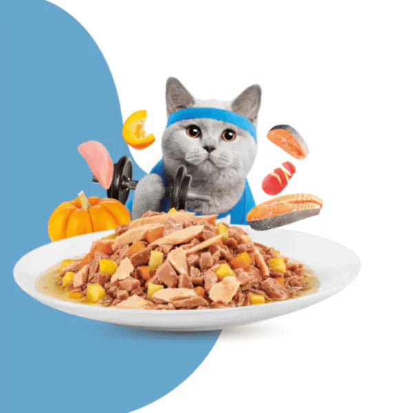 Moochie Salmon Grain Free Weight Control Cat Wet Food