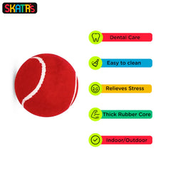 Skatrs Tennis Ball for Dogs and Bell Round Toy for Cats Combo