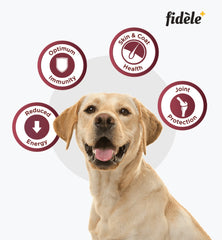 Fidele Plus Adult Light & Senior Dog Dry Food