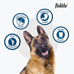 Fidele Plus Adult Large Dog Dry Food