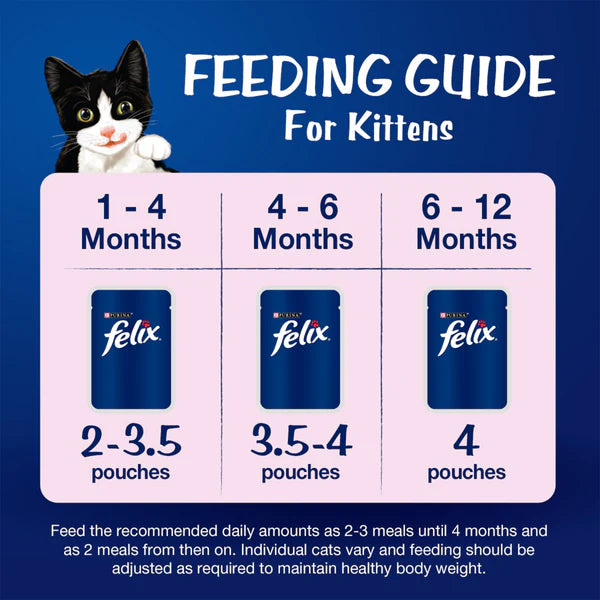 Purina Felix Tuna with Jelly Complete and Balanced Kitten Wet Food