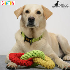Skatrs Triple Ring Rope Chew Toy for Dogs and Cats (Neon Green/Red/Yellow)
