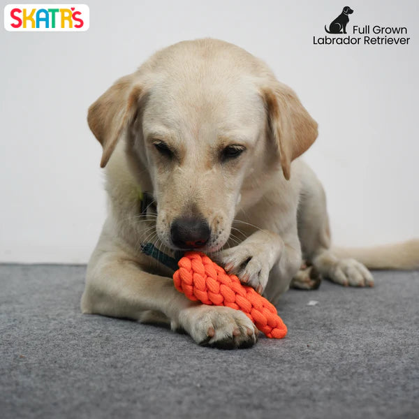 Skatrs Carrot Shaped Rope Chew Toy for Dogs and Cats (Orange)