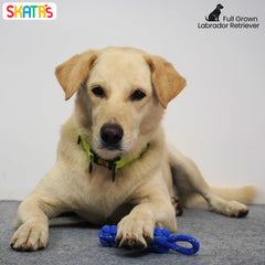 Skatrs Dummy Knotted Rope Chew Toy for Dogs and Cats (Blue)