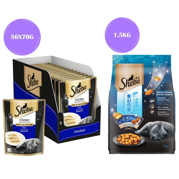 Sheba Chicken Loaf Rich Premium Adult Fine Wet Food and Salmon All Life Stage Cat Dry Food Combo
