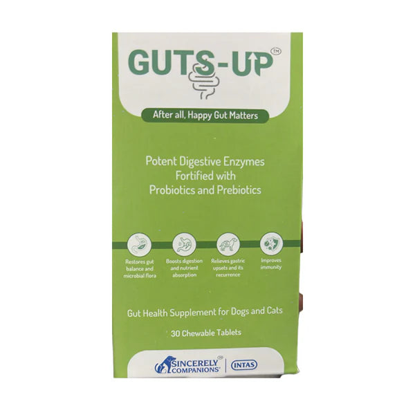 Intas Guts up digestive health supplement for Dogs and Cats