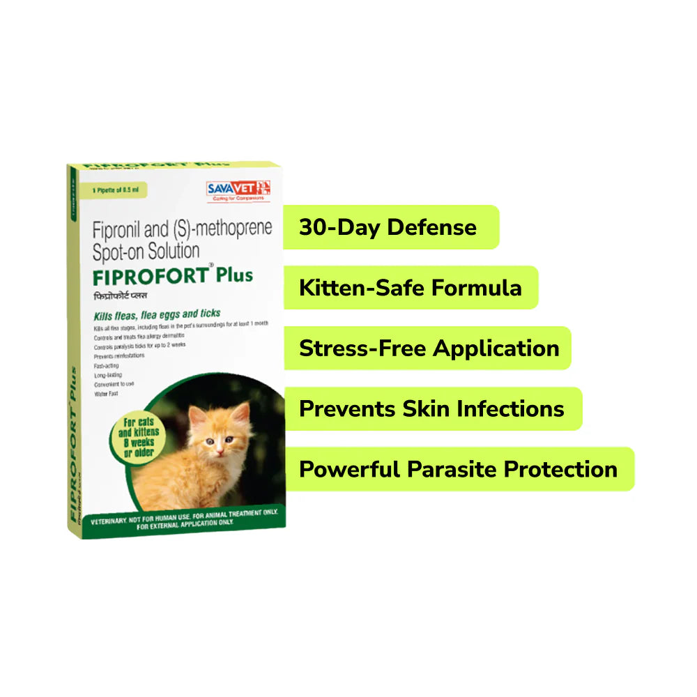 Preventive Care Kit Combo for Kitten (Dewormer + Spoton + Supplement + Probiotic)