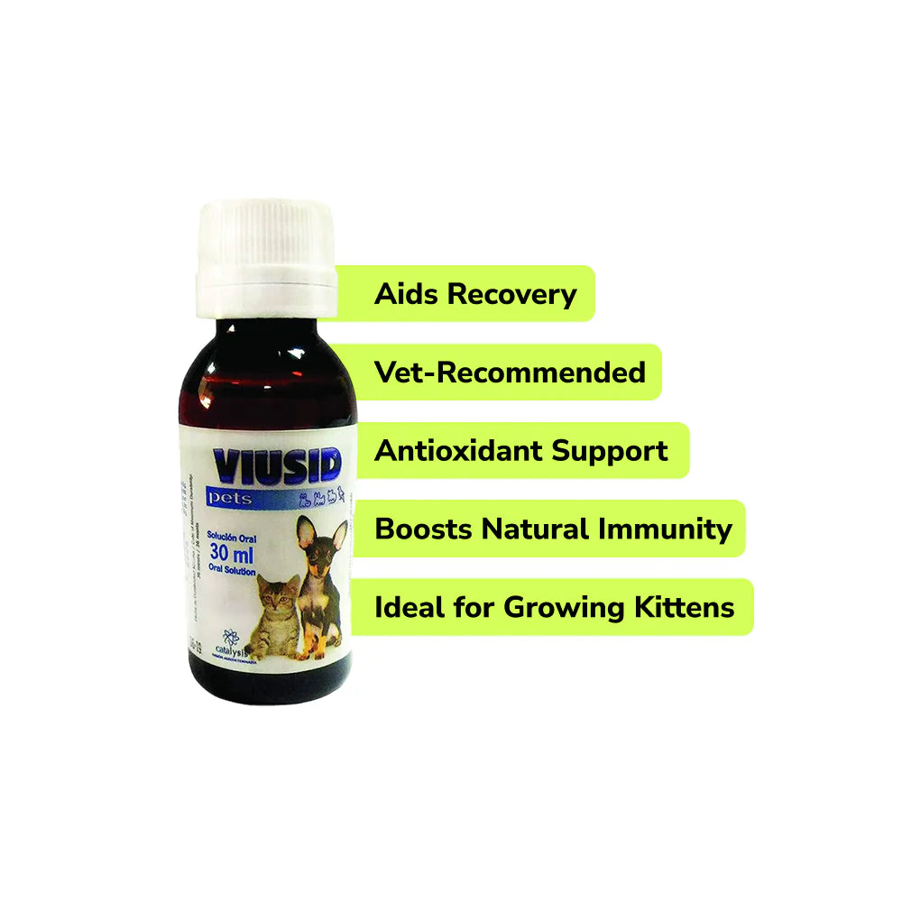 Preventive Care Kit Combo for Kitten (Dewormer + Spoton + Supplement + Probiotic)