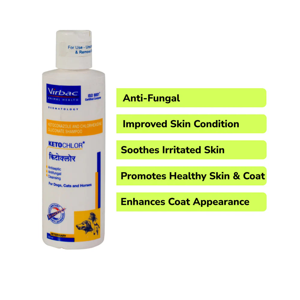 Fungal Infection Care SuperKit for Dogs and Cats
