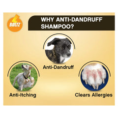 Boltz Anti Itch & Dandruff Shampoo for Dogs
