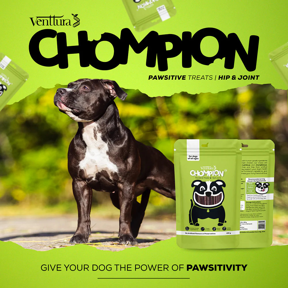 Venttura Chompion Pawsitive Hip & Joint Dogs Treats