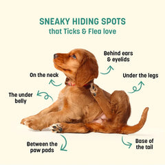 HUFT Sara's Natural Anti Flea & Tick Powder for Dogs and Cats