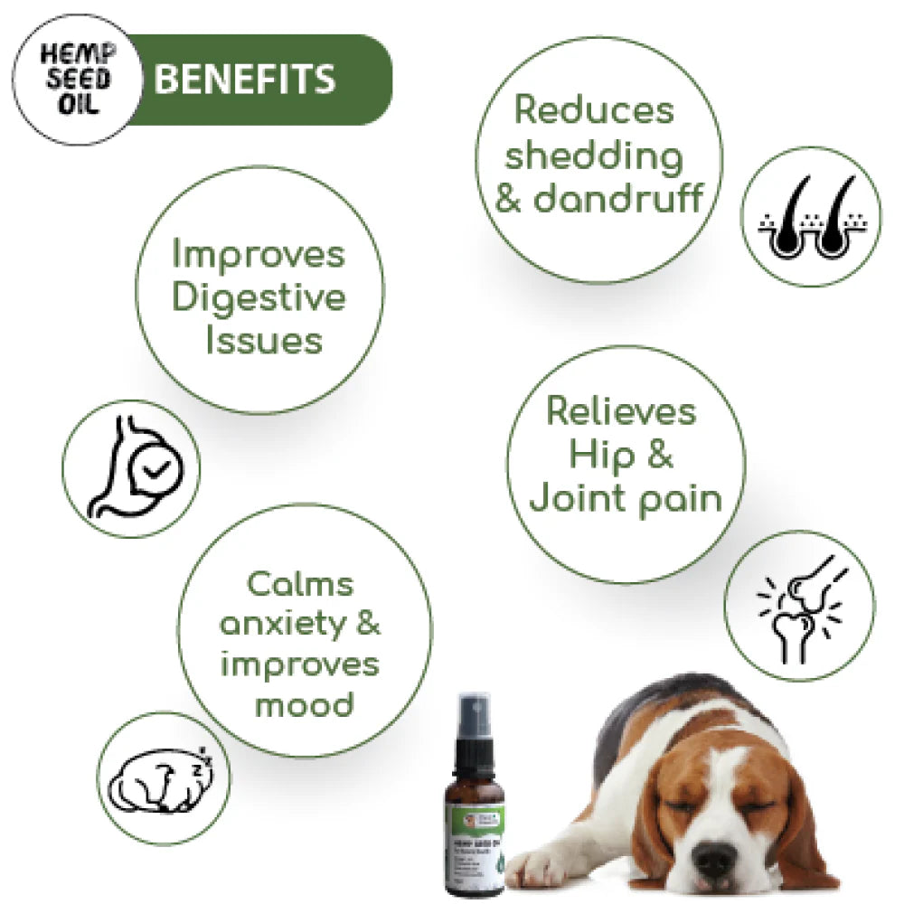 Papa Pawsome Hemp Seed Oil for Dogs