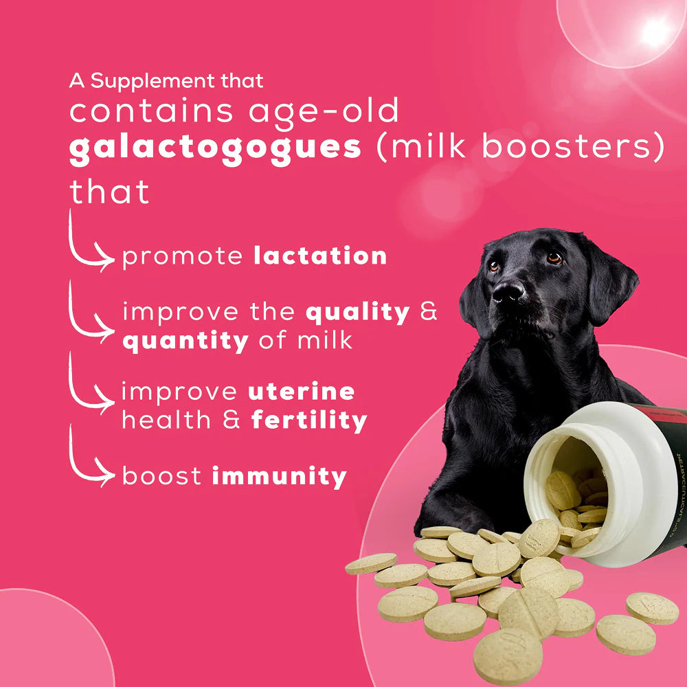 Venttura Lacto Plus Milk Boosters Chewable Tablets for Dogs