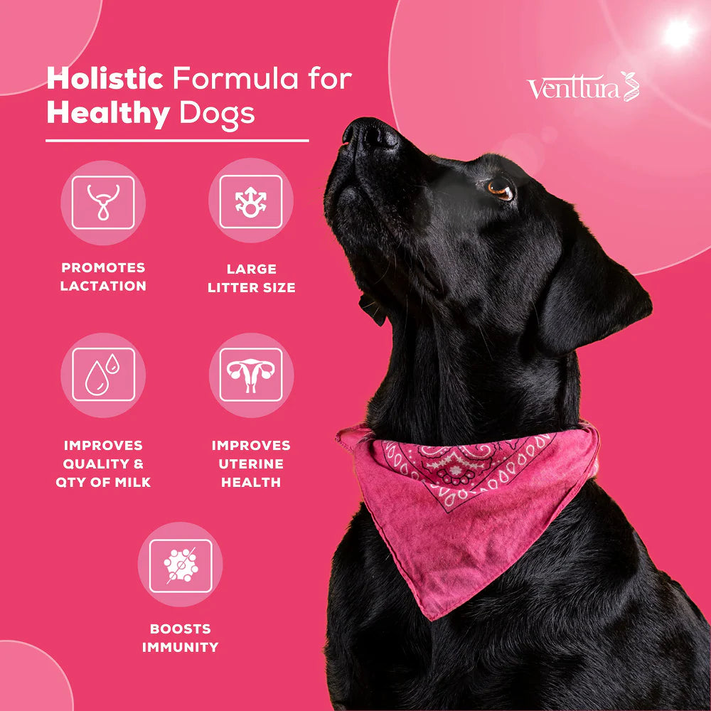 Venttura Lacto Plus Milk Boosters Chewable Tablets for Dogs
