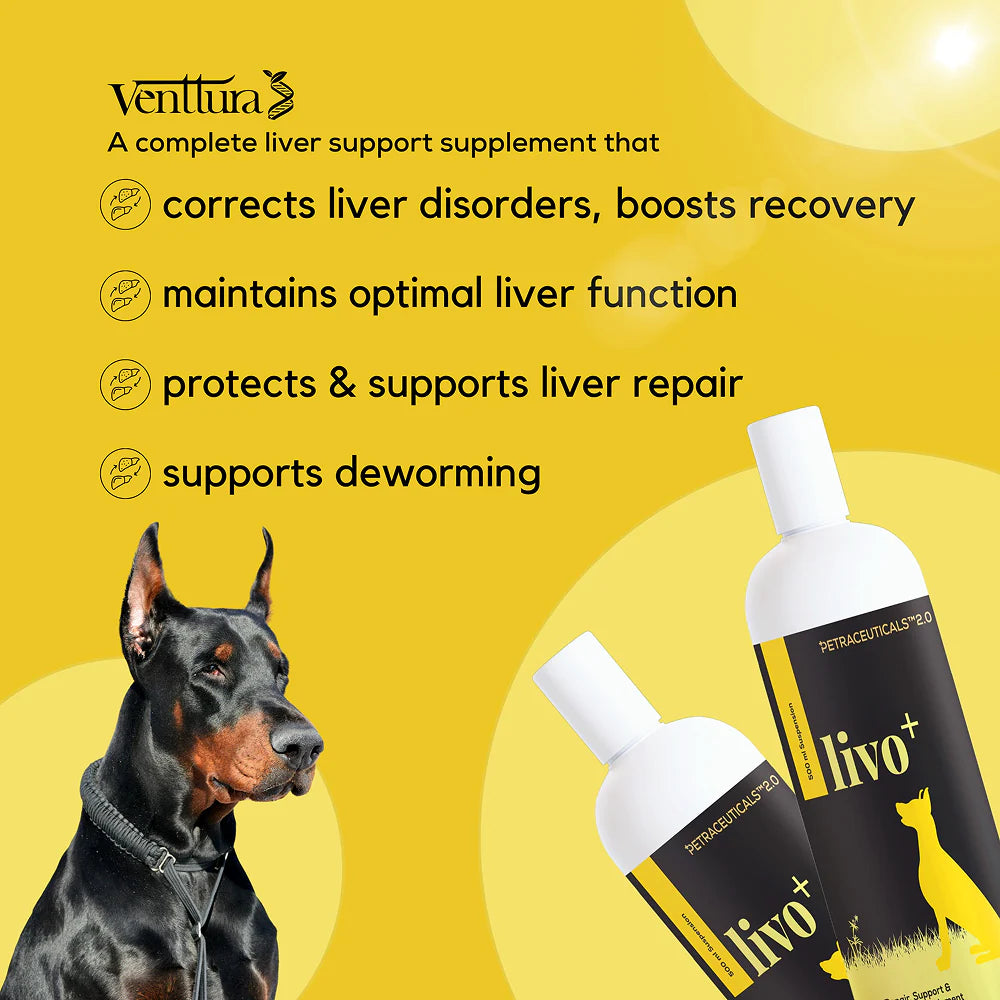 Venttura Livo Plus Liver Supplement Syrup for Dogs