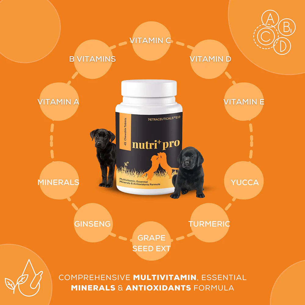 Venttura Nutri Plus Pro Multi Vitamin Chewable Tablets for Dogs