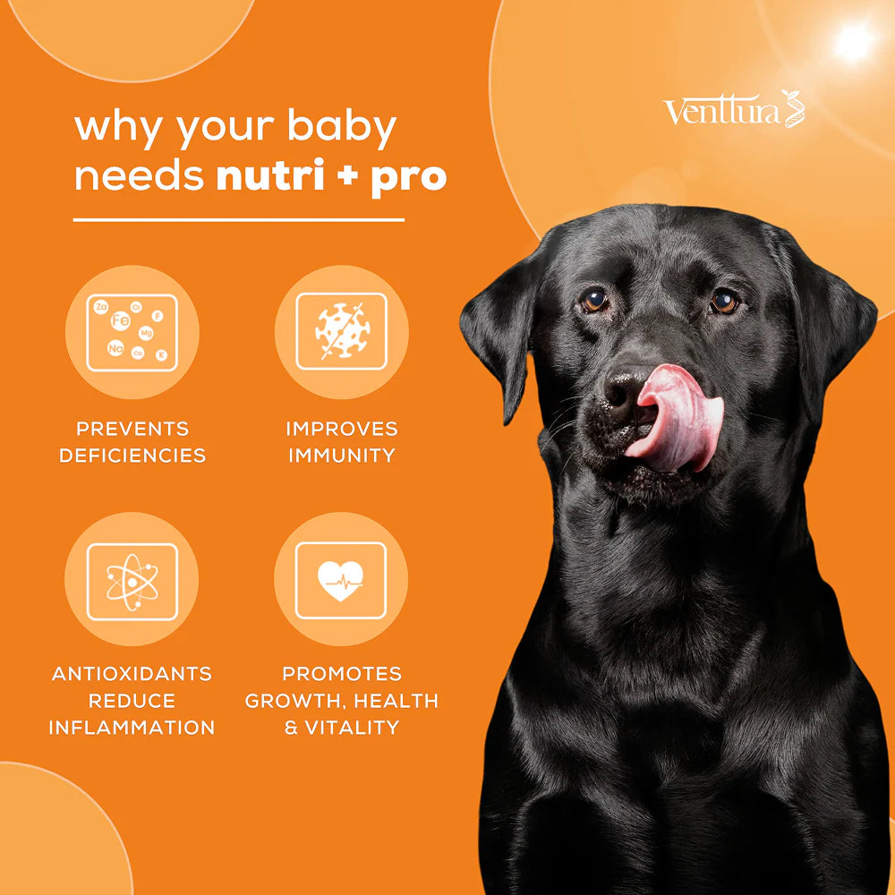Venttura Nutri Plus Pro Multi Vitamin Chewable Tablets for Dogs
