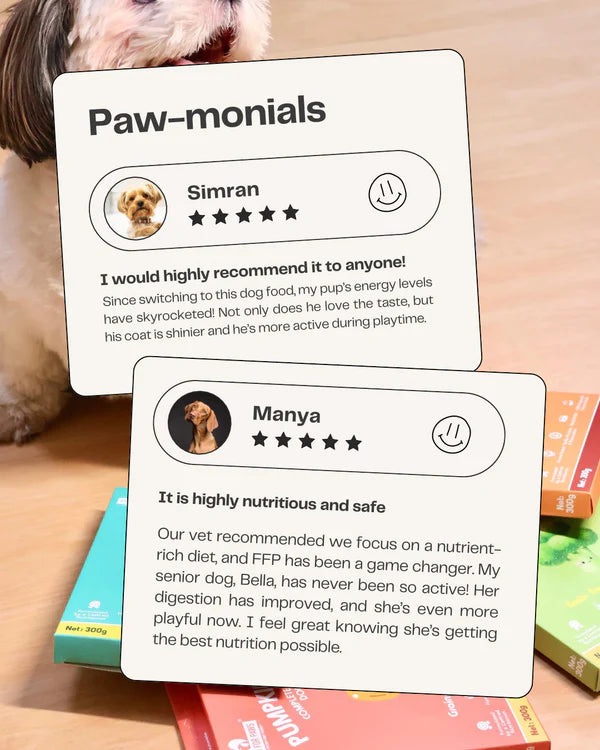 Fresh For Paws Chicken Liver & Pumpkin Liv Love Supplement for Dogs