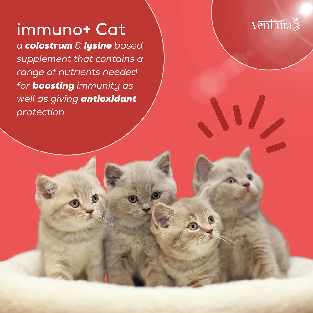Venttura Immunity Booster & Calming Supplement for Cats