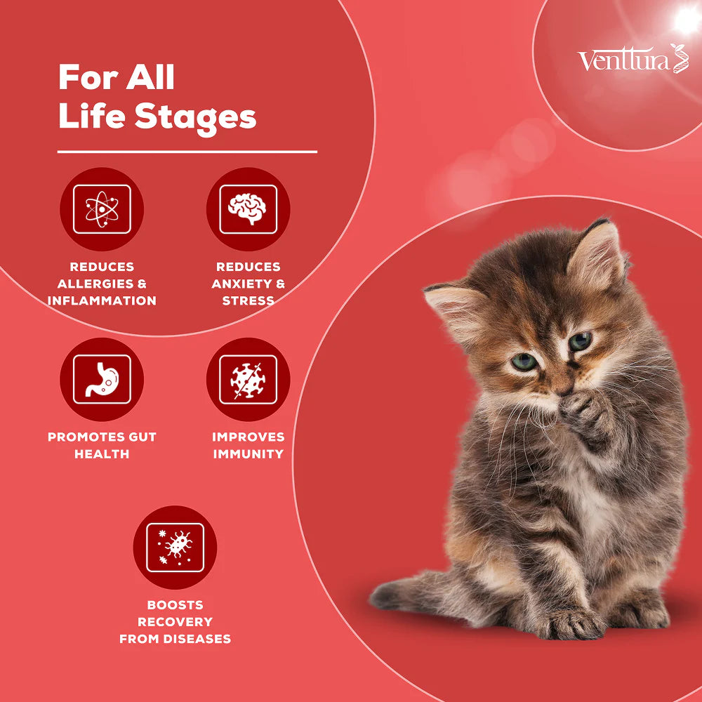 Venttura Immunity Booster & Calming Supplement for Cats