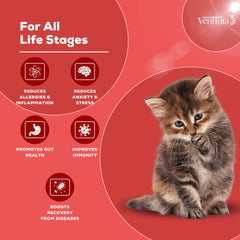 Venttura Immunity Booster & Calming Supplement for Cats