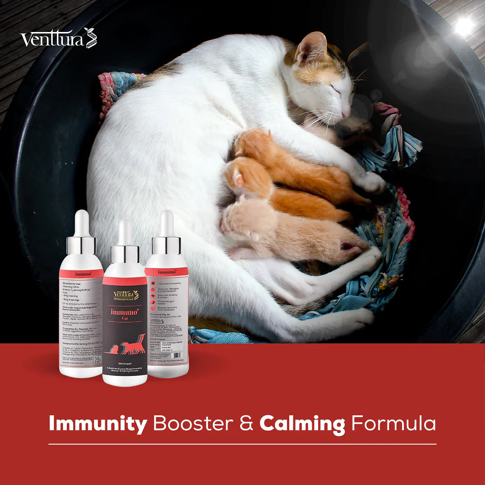 Venttura Immunity Booster & Calming Supplement for Cats