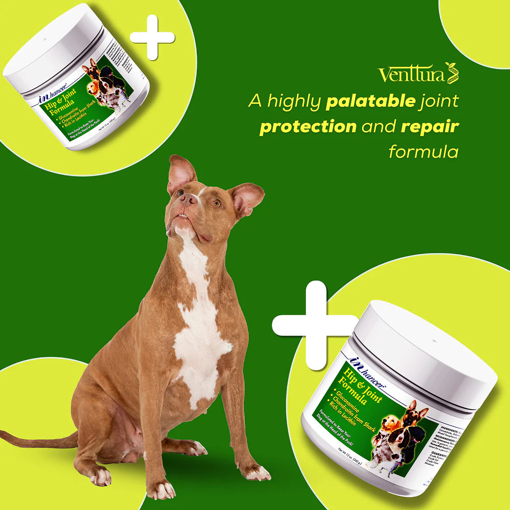 Venttura Inhancer Hip & Joint Soft Nuggets Supplements for Dogs