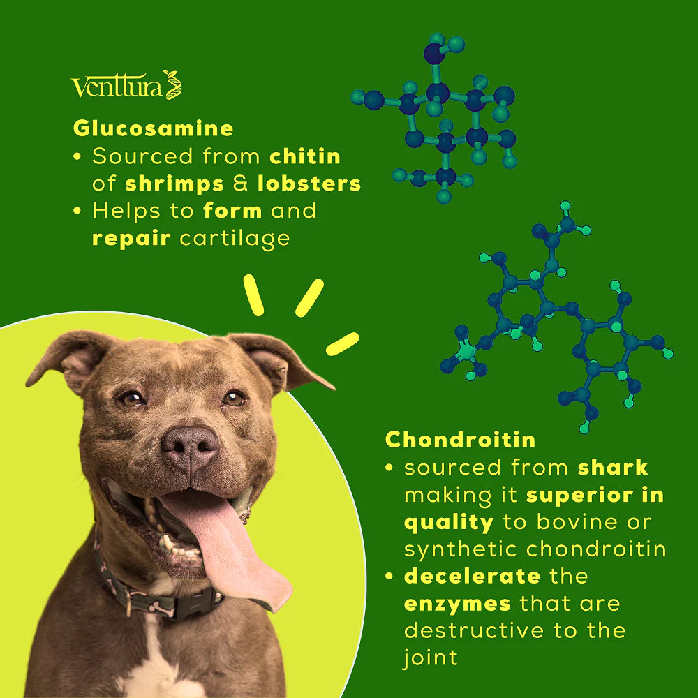 Venttura Inhancer Hip & Joint Soft Nuggets Supplements for Dogs