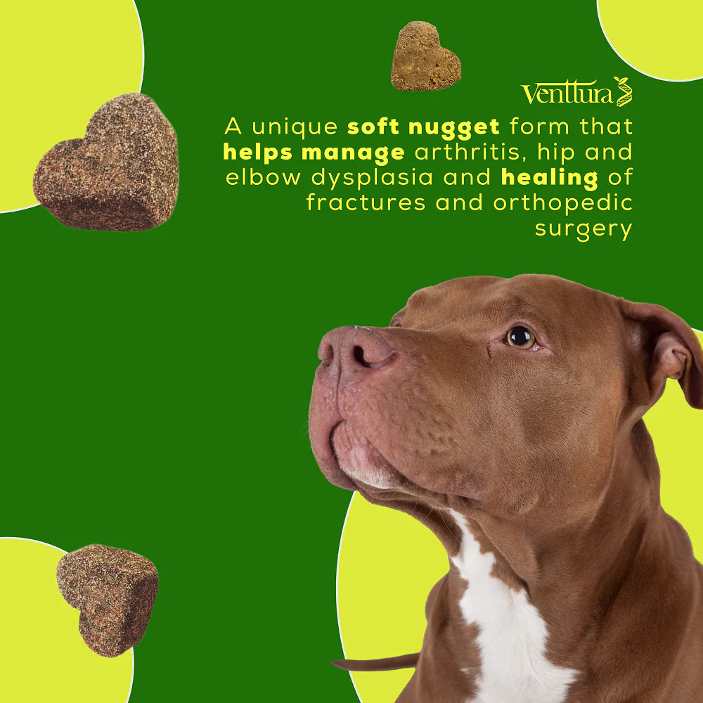 Venttura Inhancer Hip & Joint Soft Nuggets Supplements for Dogs
