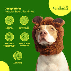Venttura Inhancer Hip & Joint Soft Nuggets Supplements for Dogs