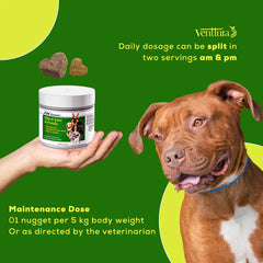 Venttura Inhancer Hip & Joint Soft Nuggets Supplements for Dogs