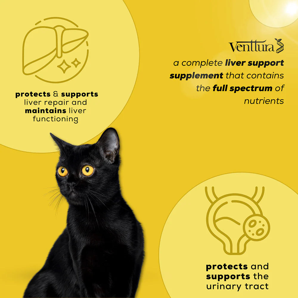 Venttura Liver Repair, Support Recovery & Recuperation Supplement for Cats