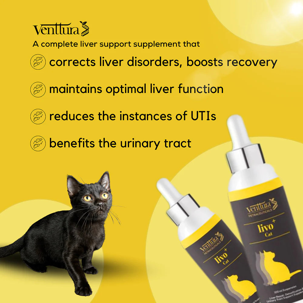 Venttura Liver Repair, Support Recovery & Recuperation Supplement for Cats