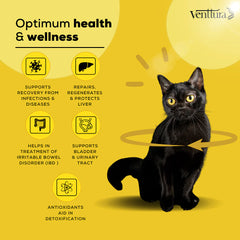 Venttura Liver Repair, Support Recovery & Recuperation Supplement for Cats