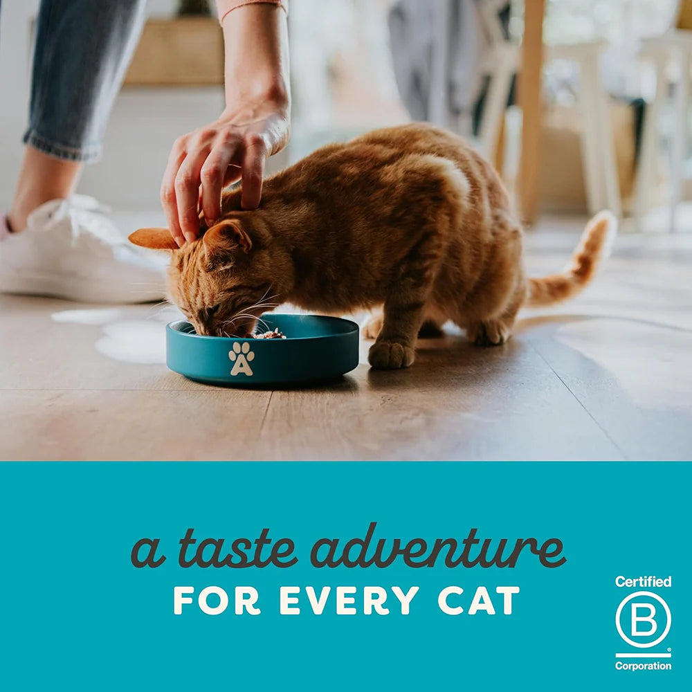 Applaws Tuna Fillet with Whole Anchovy Cat Wet Food