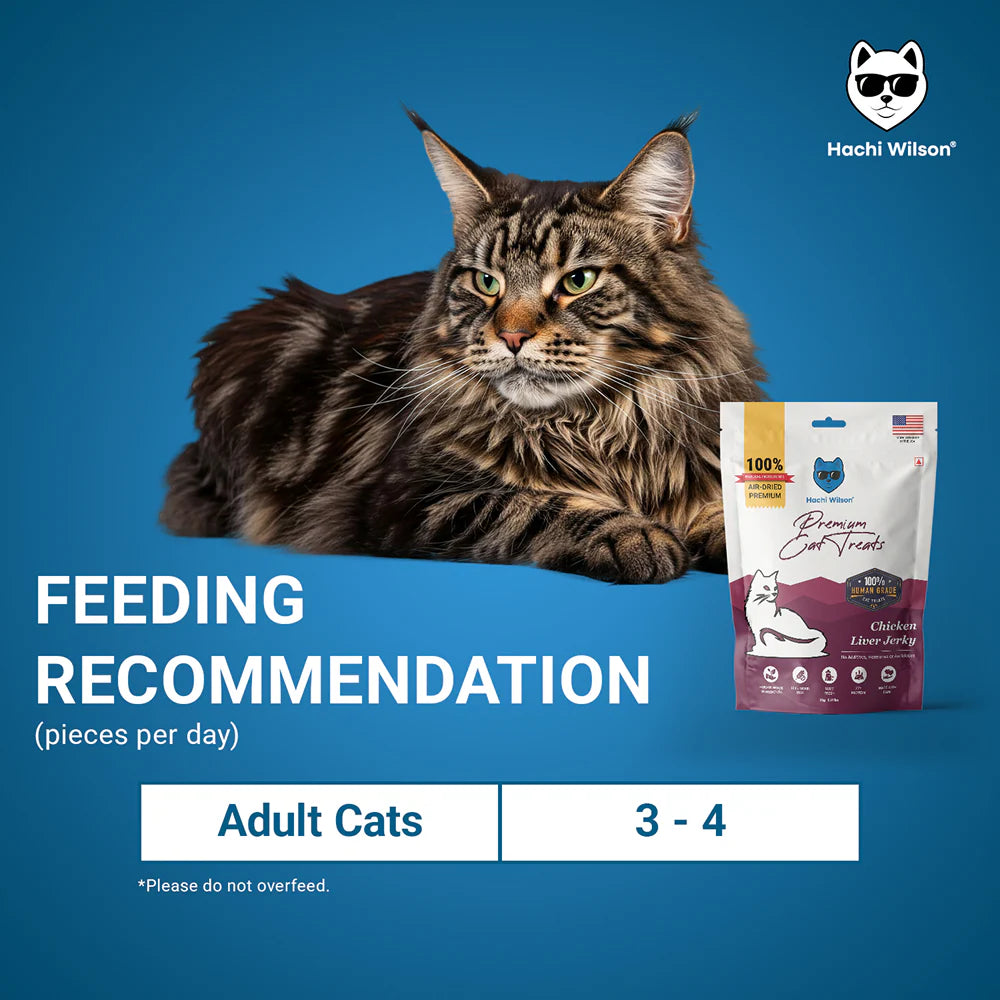 Hachi Wilson Premium Chicken Liver Jerky Cat Treat