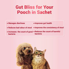 Natural Remedies Natgut Granules 4.2 GMS Sachet Supplement for Cats and Dogs