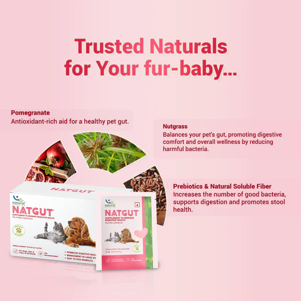 Natural Remedies Natgut Granules 4.2 GMS Sachet Supplement for Cats and Dogs