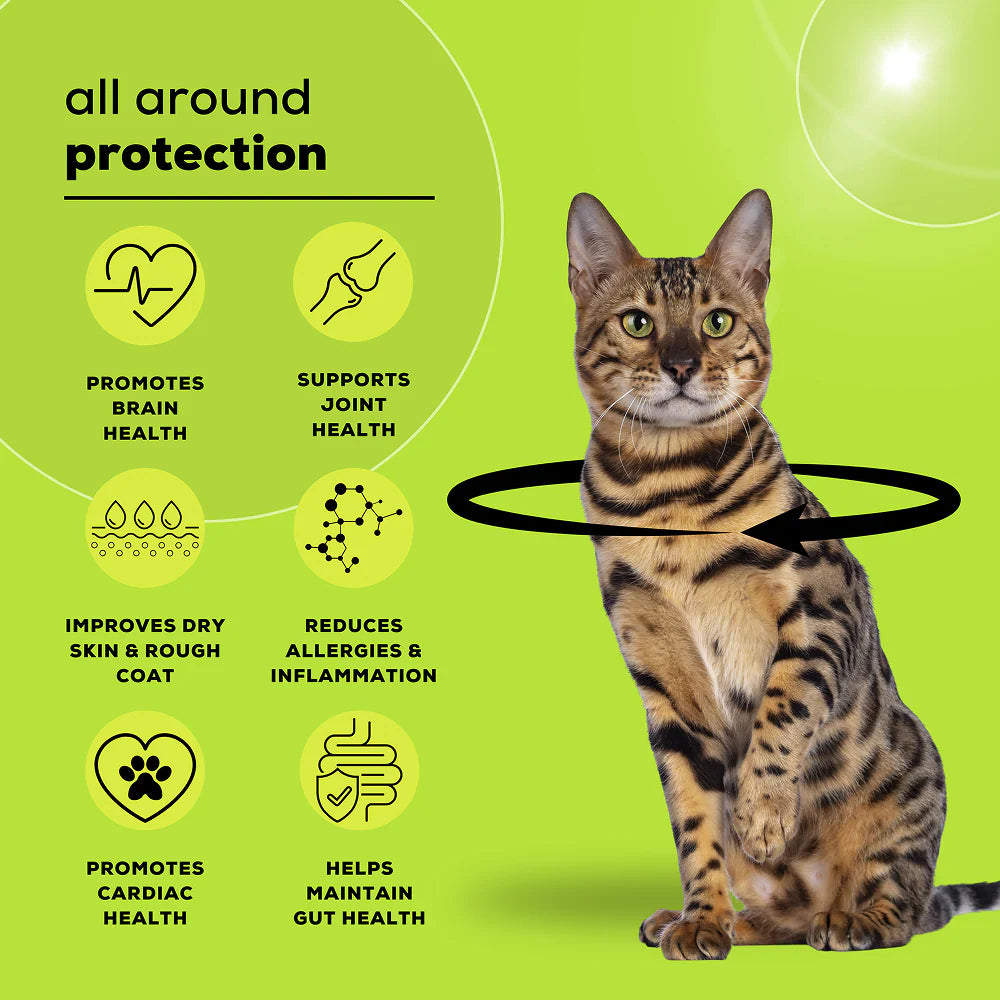 Venttura Healthy Skin & Glowing Coat Omega Fatty Acid Supplement for Cats