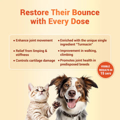 Natural Remedies Orthoron Joint Supplement Tablets for Dogs and Cats
