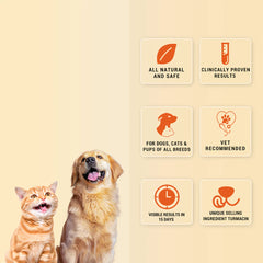 Natural Remedies Orthoron Joint Supplement Tablets for Dogs and Cats