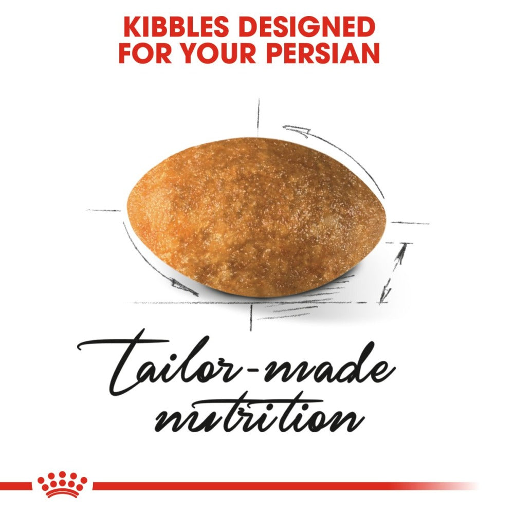 Royal Canin Persian Adult Cat Dry and Wet Food Combo
