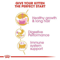 Royal Canin Persian Dry Food and Gravy Kitten Cat Wet Food Combo